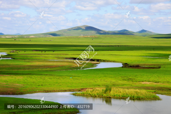 夏季草原濕地河流