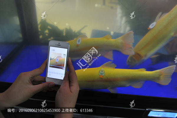 掃描冷水魚富硒標(biāo)志的二維碼