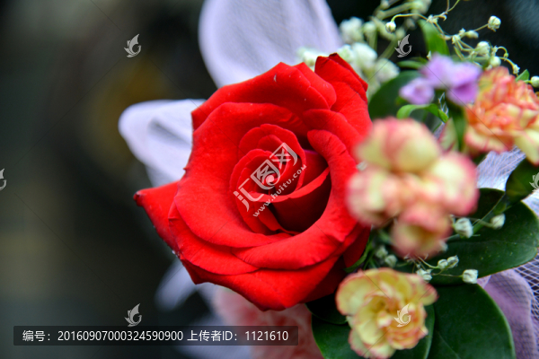 花車玫瑰花