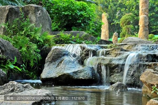 深圳仙湖植物園清水流水