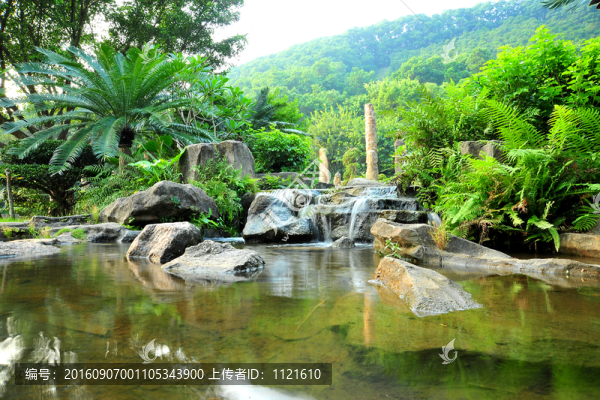 深圳仙湖植物園清水流水