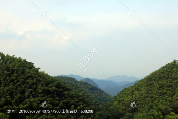 竹園