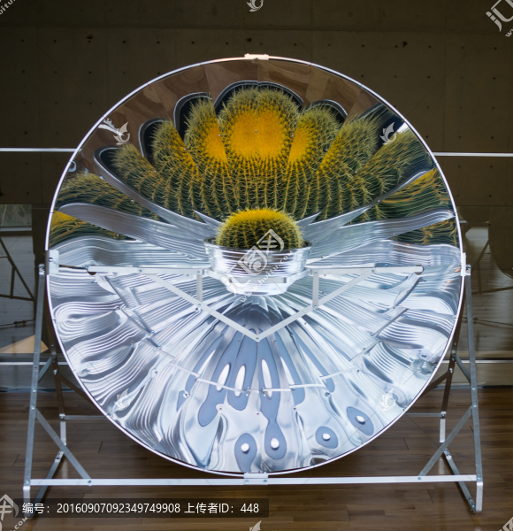 余德耀美術(shù)館展品,仙人球