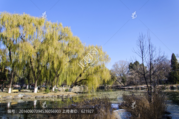 北大未名湖