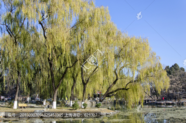 北大未名湖