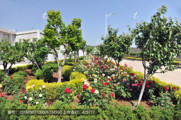 花園,,綠化景觀