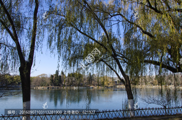 北大未名湖