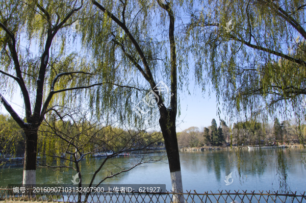 北大未名湖
