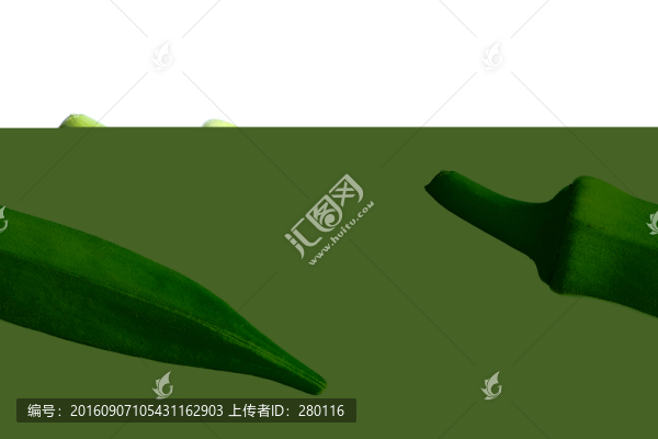 秋葵