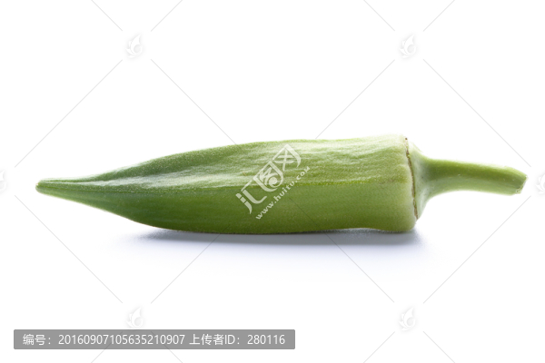 秋葵