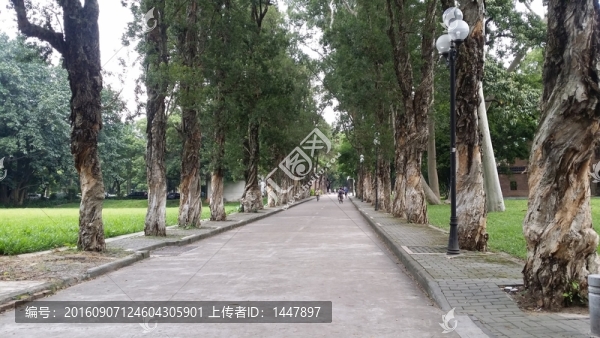 中山大學(xué)校園