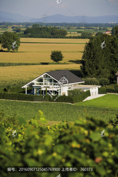 戶(hù)外風(fēng)景之田園里的別墅