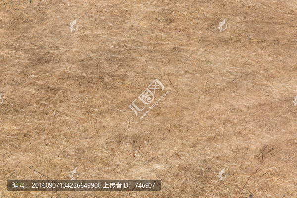 枯草地背景
