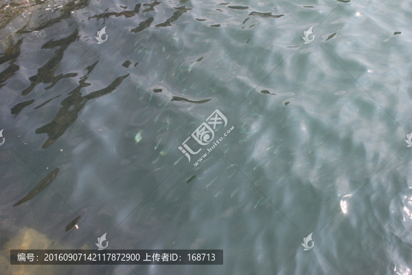 黃渤海分界線