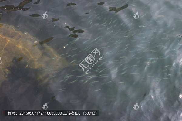黃渤海分界線