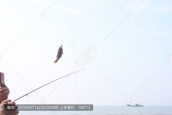 黃魚