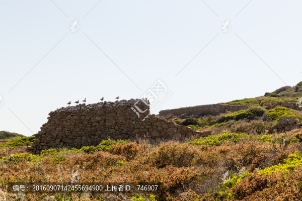 法國科西嘉島赤血島