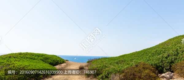 法國科西嘉島赤血島