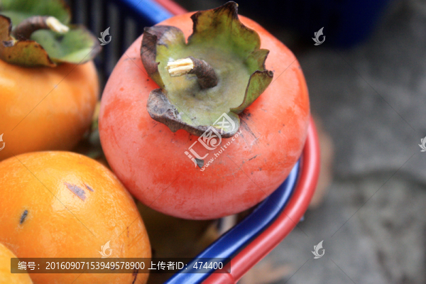 柿子,紅柿子,柿樹,柿餅