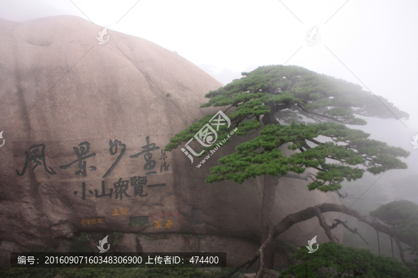 黃山,云海,怪石,石頭,山頂
