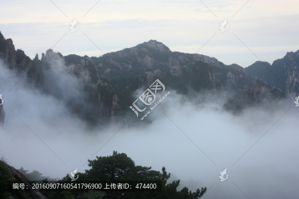 黃山,云海,云霧,安徽