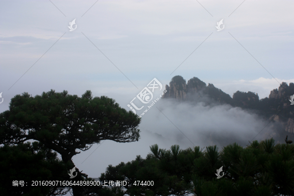 黃山,云海,云霧,安徽