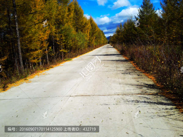 秋季公路