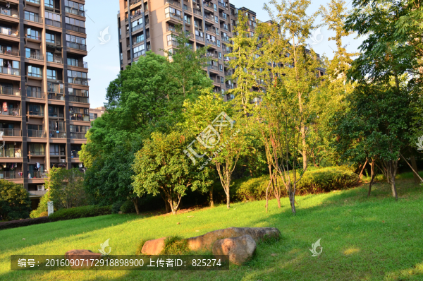 地產(chǎn)景觀園林