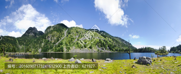 高原濕地全景圖