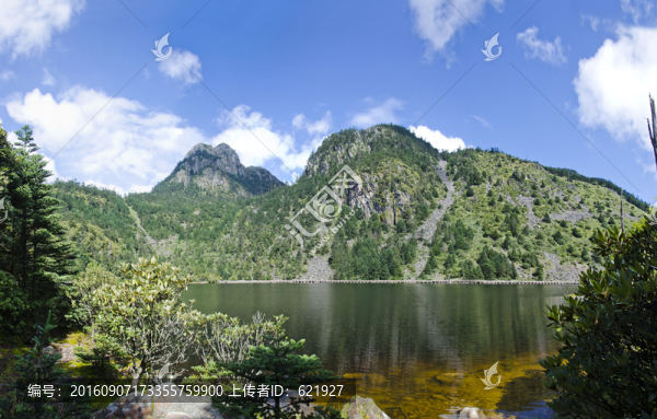 高原濕地全景圖