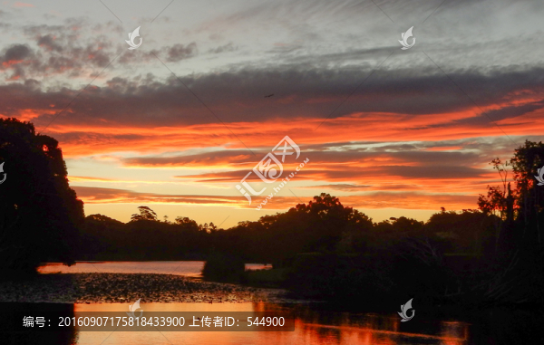 澳洲,夜景,火燒云
