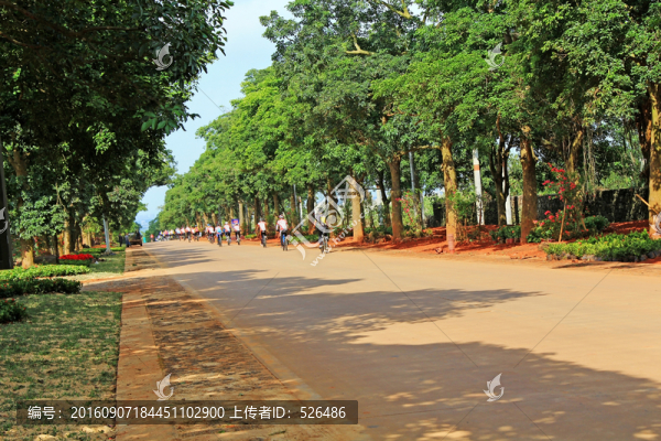 鄉(xiāng)間公路