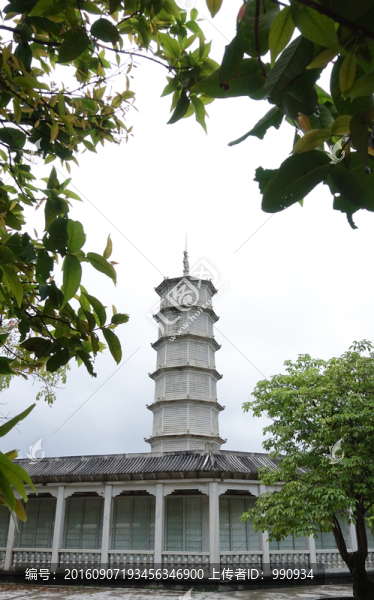 大垌山,陽西