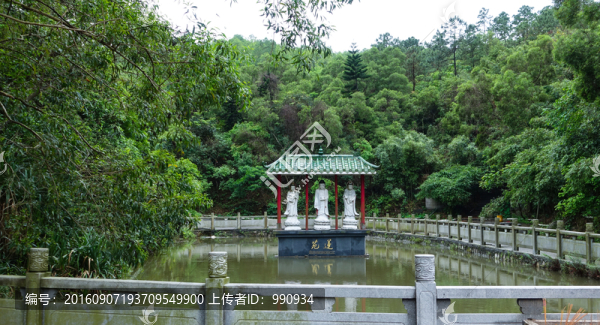 大垌山,陽西
