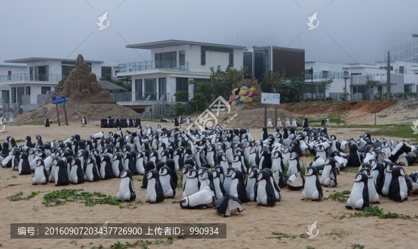 陽西,沙扒灣,海景