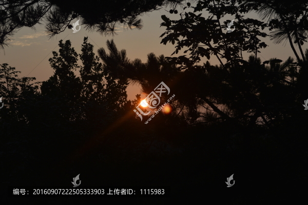 雞公山看日出
