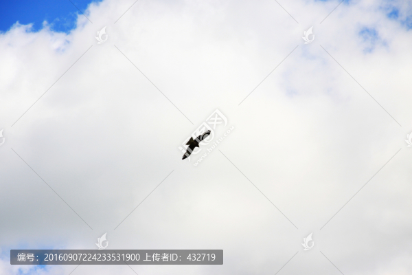 藍(lán)天白云雄鷹素材