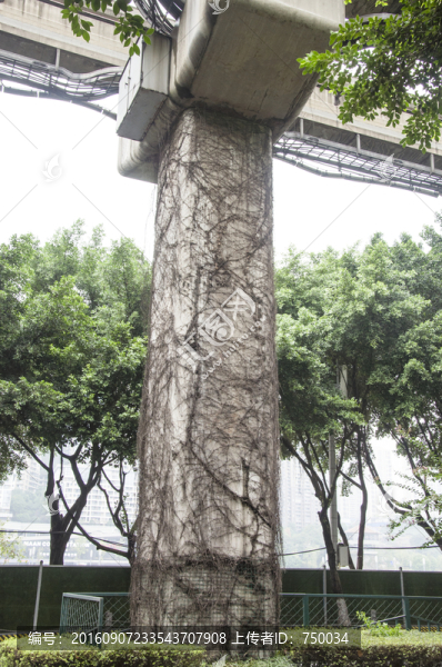 水泥柱