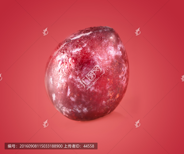 李子