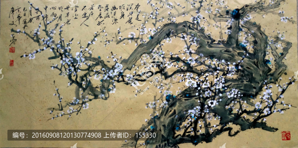 國(guó)畫(huà)白梅