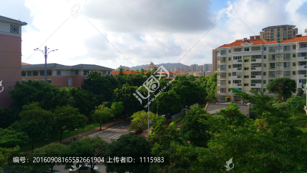 城市綠化