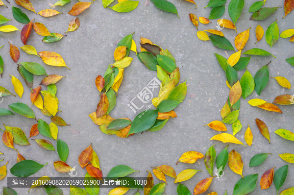 英文字母D