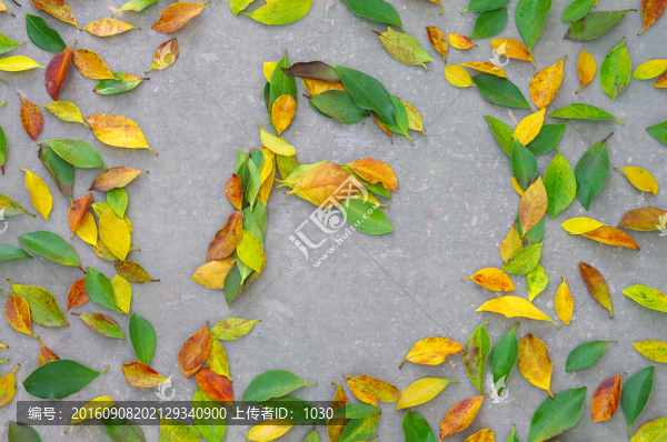 英文字母F