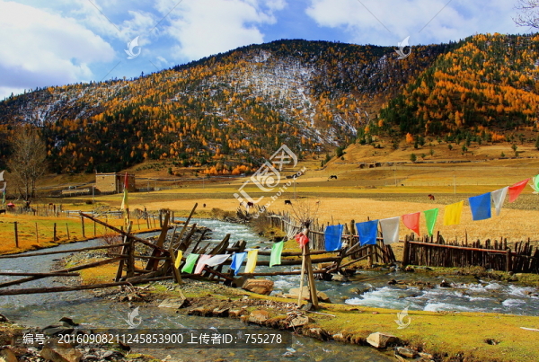 川西高原