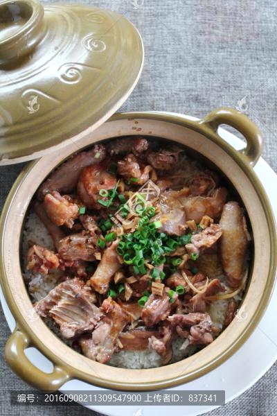 鴿子飯