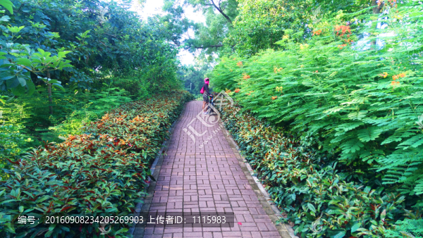 騎行者