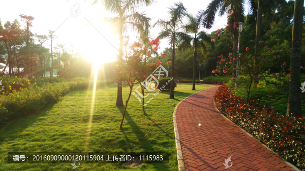 陽(yáng)光明媚的公園