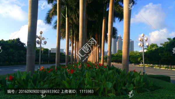 城市綠化