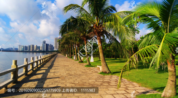 珠海風(fēng)景