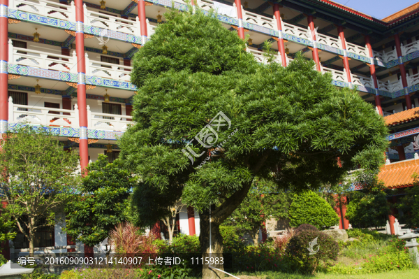 寺廟住所